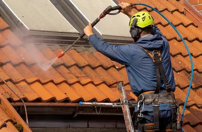 Démoussage et hydrofuge de toiture aux Adrets